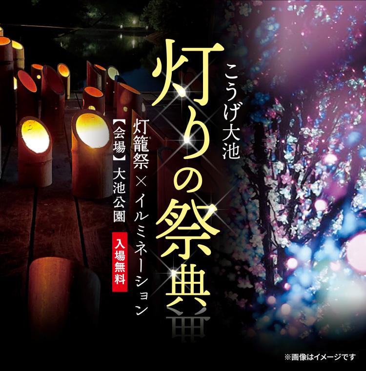 こうげ大池「灯りの祭典」～灯籠祭×イルミネーション～