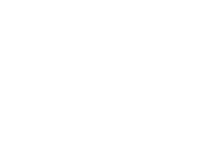 テーマ 光の架け橋～Harmony of lights～