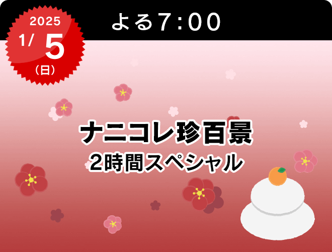 『ナニコレ珍百景　2時間スペシャル』のサムネイル