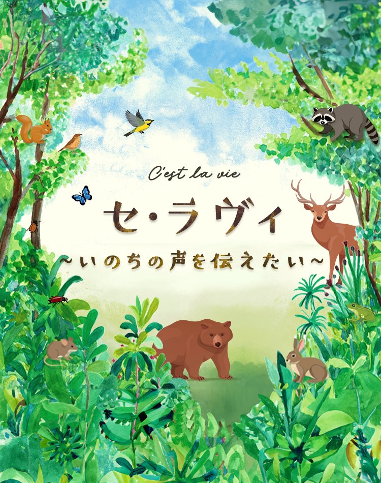 セ・ラヴィ ～いのちの声を伝えたい～｜KBCラジオ｜KBC九州朝日放送