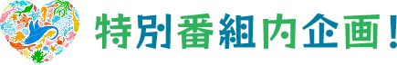 特別番組内企画！