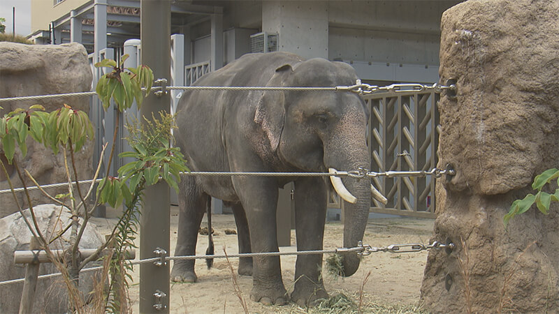 福岡市動物園を深掘り！