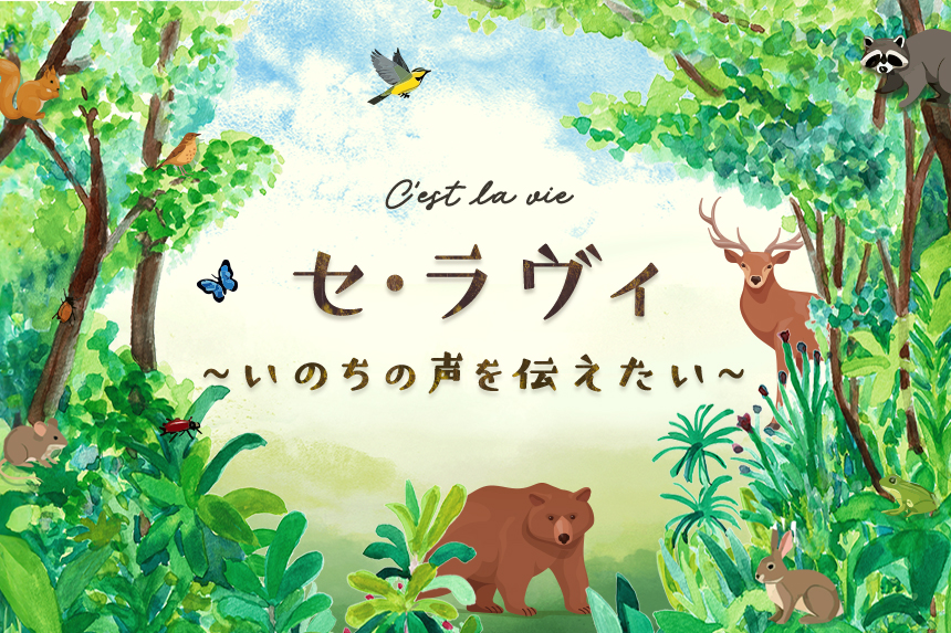 セ・ラヴィ～ いのちの声を伝えたい～