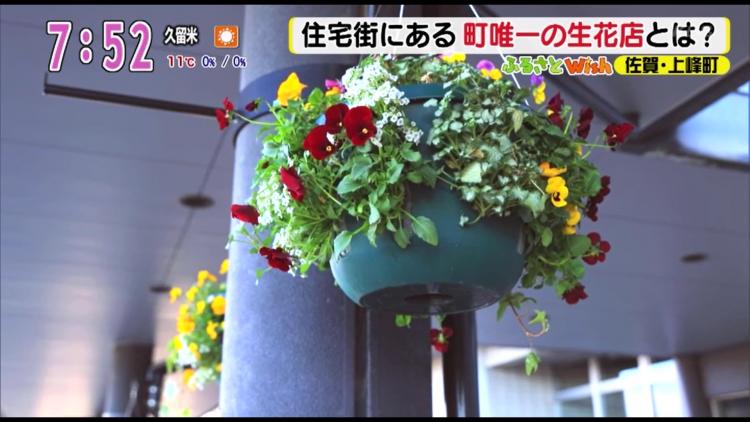 こんなときこそ バレンタインは大切なあの人に花を贈ろう ふるさとwish上峰町 放送内容 アサデス Kbc Kbc九州朝日放送