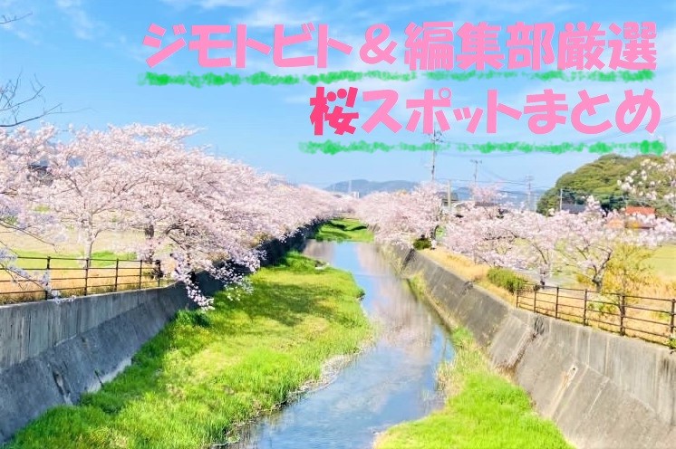 今週末はお花見へレッツゴー♪ジモトビト＆編集部厳選　桜スポット