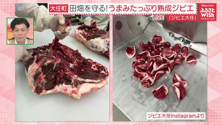 臭みゼロ！大任町で自然の恵み♪熟成ジビエのバーベキュー！（大任町）【ふるさとWish】