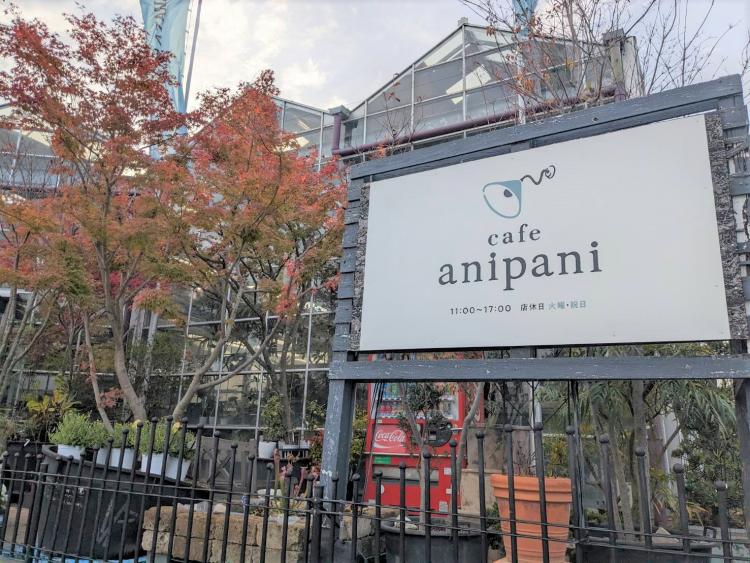 【ニューオープン】春日市のほっこりカフェ『cafe anipani』が平田ナーセリー春日店Balcone内に移転オープン！植物×カフェの新しい癒しスポットに♪