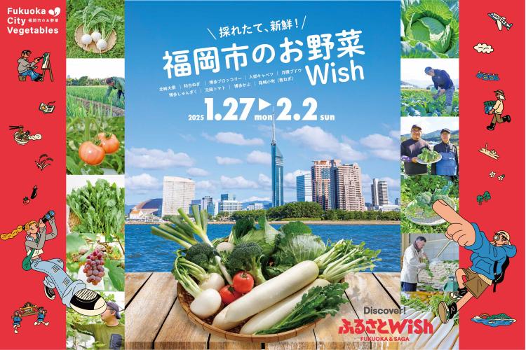 【ふるさとWish】福岡市のお野菜Wish