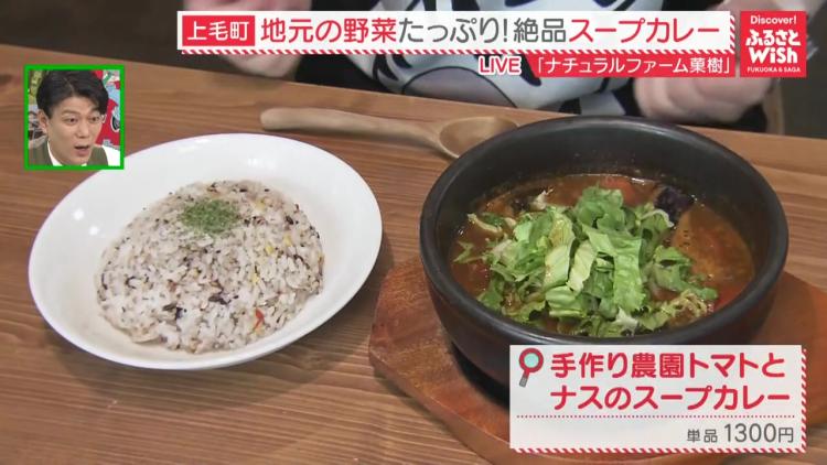 旬の地元野菜たっぷりのスープカレー＆ごろごろフルーツのかき氷＆苺のシフォン（上毛町）【ふるさとWish】