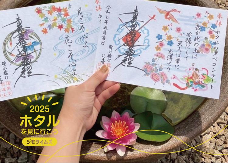 【2025ホタルを見に行こう！】5/31チケット販売開始！ホタル観賞・ホタルの夕べコンサート・記念御朱印も！6/7『ホタル祭り』開催（福岡市中央区）
