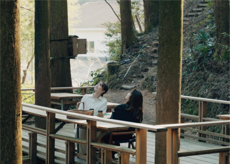 【OASIS～90秒の旅の記憶～】絶景ツリーハウスでピクニック気分を満喫！『森のカフェ 緑の詩』（福岡・糸島市）