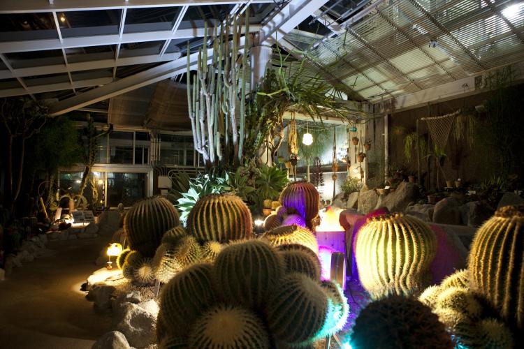 8/2から9/13まで毎週土曜限定！「福岡市動植物園」にて、夏の人気イベント「夜の動植物園」開催！（福岡市中央区）【イベント】