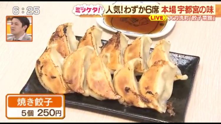 栃木×福岡のハイブリッド餃子！5個250円！