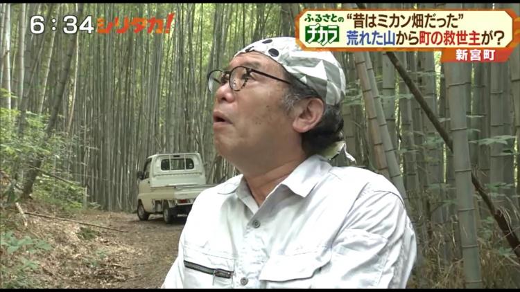 「ミカン畑だったんですよ…」と寂しそうな堀田さん。今や荒れた竹林に…