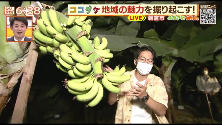 鶴田農園の「恋バナナ」