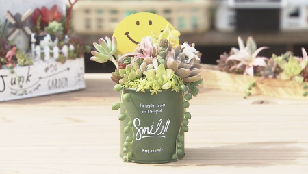 ホームセンターグッデイ 筑後店 放送内容 アサデス 7 Kbc九州朝日放送