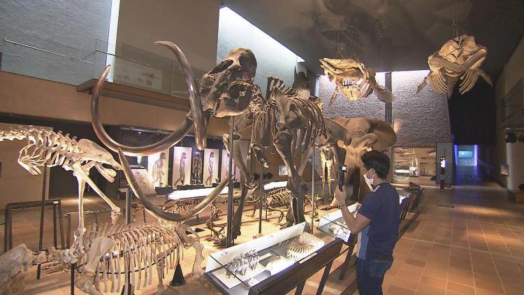 北九州市立 いのちのたび博物館｜放送内容｜アサデス。7｜KBC九州朝日放送