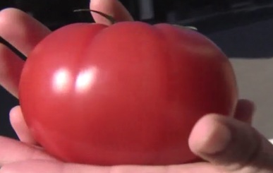 まちづくりたけた㈱｜放送内容｜アサデス。7｜KBC九州朝日放送