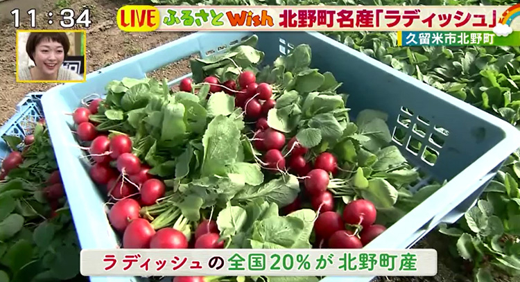 放送内容 サワダデース Kbc九州朝日放送