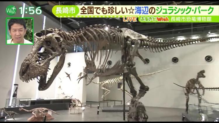 ティラノサウルスの全身骨格レプリカ