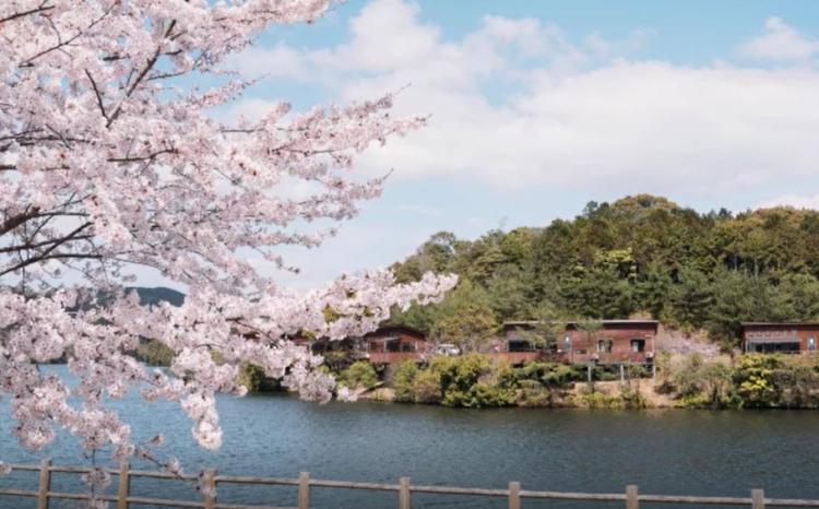 放送内容 アサデス 九州 山口 Kbc九州朝日放送