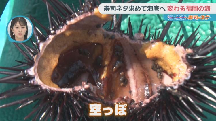 空っぽのウニ