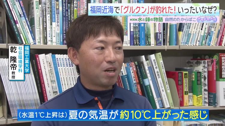 福岡工業大学社会環境学科・乾隆帝教授
