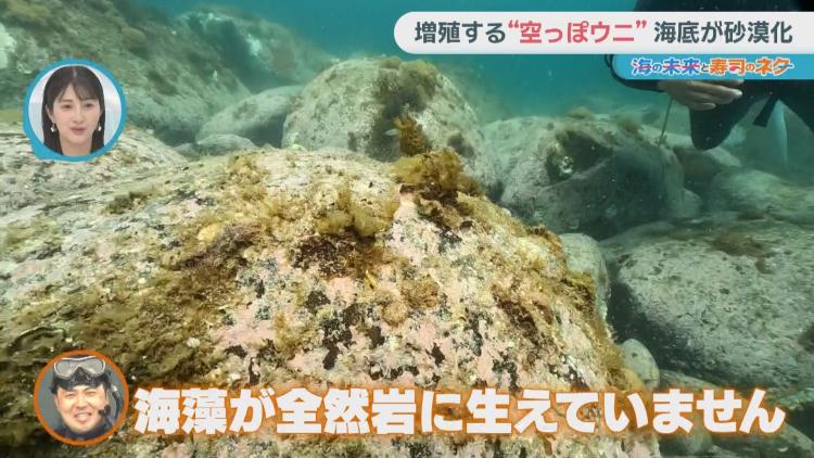 深刻な磯焼け