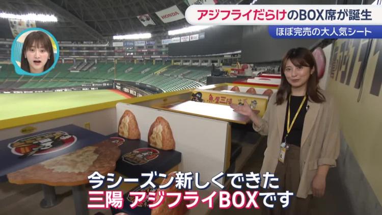 三陽 アジフライBOX