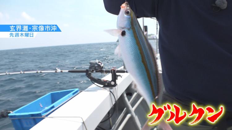 玄界灘で釣れた「グルクン」
