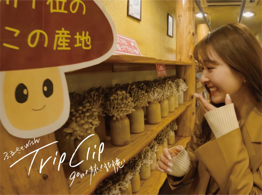 	【TRIPCLIP】90秒の旅の記憶～大木町