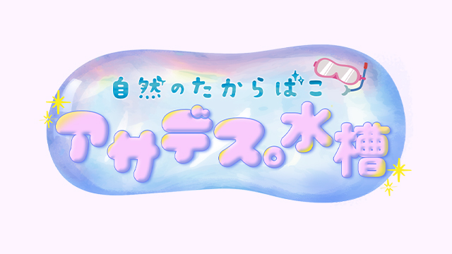 ロゴ：自然のたからばこ　アサデス。水槽