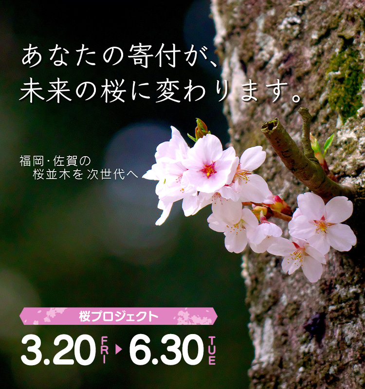 第30回KBC水と緑のキャンペーン ～みんなの想いが 桜になる、海になる～／開催期間：3月20日（金）～9月30日（水）