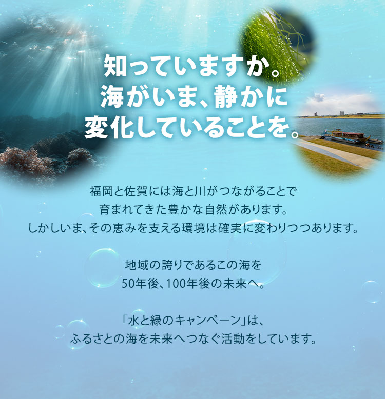 知っていますか。海が、いま静かに変化していることを。福岡と佐賀は、筑前海、豊前海、有明海、そして一級河川がもたらす水辺の恵みとともに歩んできました。しかし、この豊かな循環はいま、環境の変化にさらされています。地域の誇りであるこの海を、50年後、100年後の未来へ。「水と緑のキャンペーン」は、ふるさとの海を未来へつなぐ活動をしています。