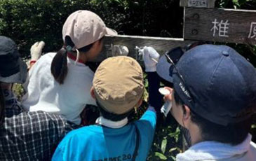 登山道案内板の修繕のようす