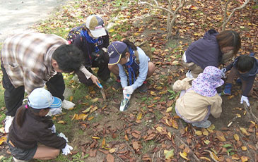 桜と藤への施肥のようす
